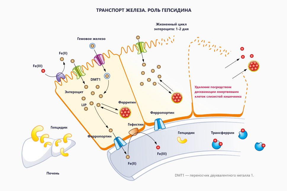 Изображение удалено.