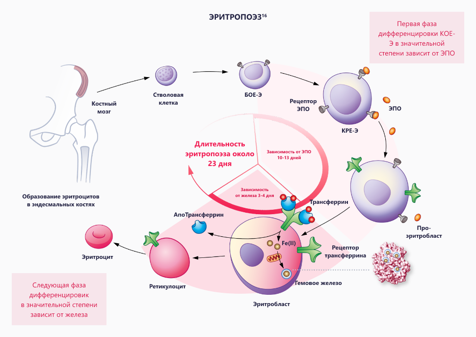 Изображение удалено.