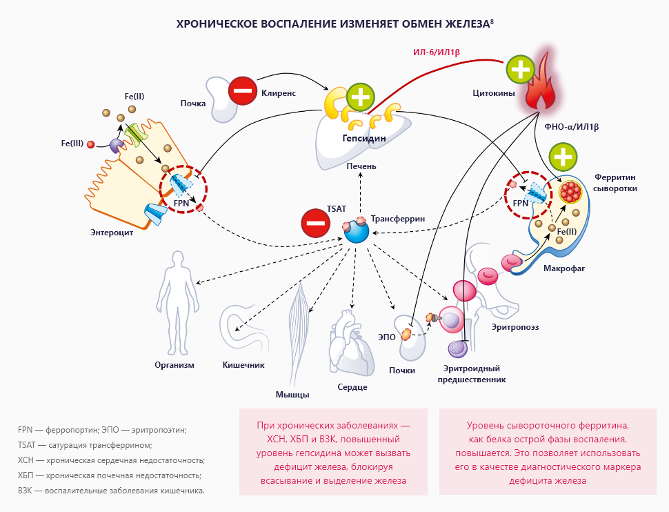 Изображение удалено.