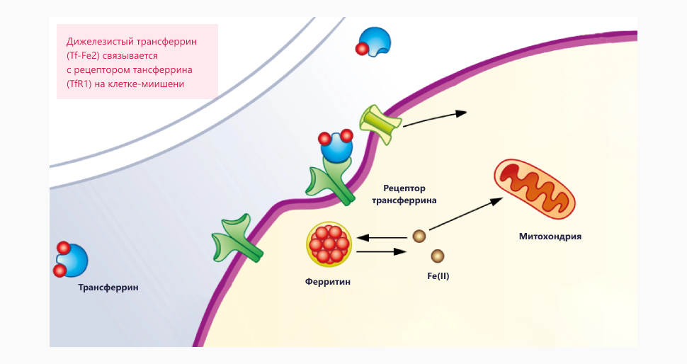 Изображение удалено.