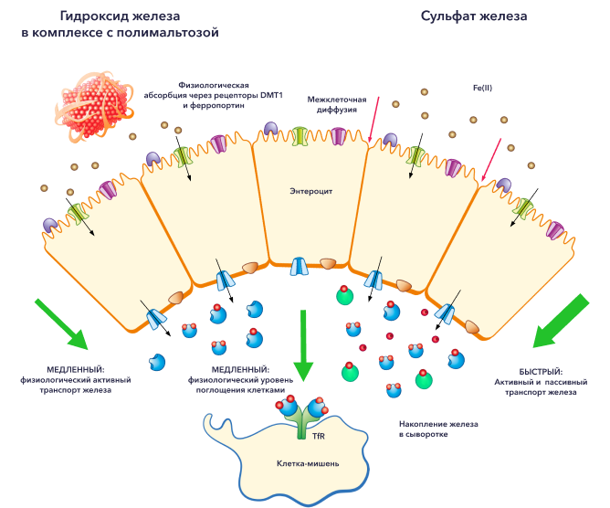 Изображение удалено.