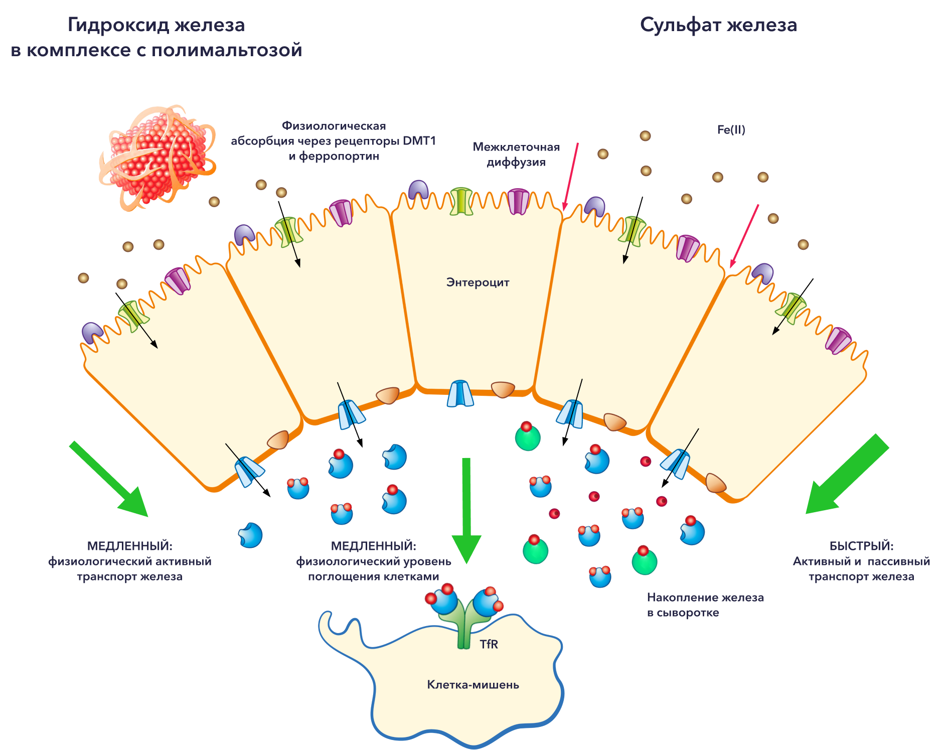 Изображение удалено.