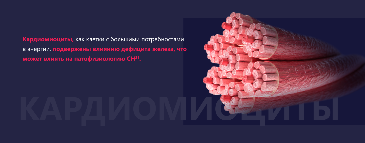 Изображение удалено.