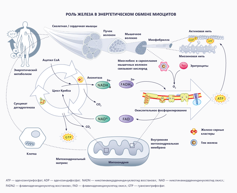 Изображение удалено.