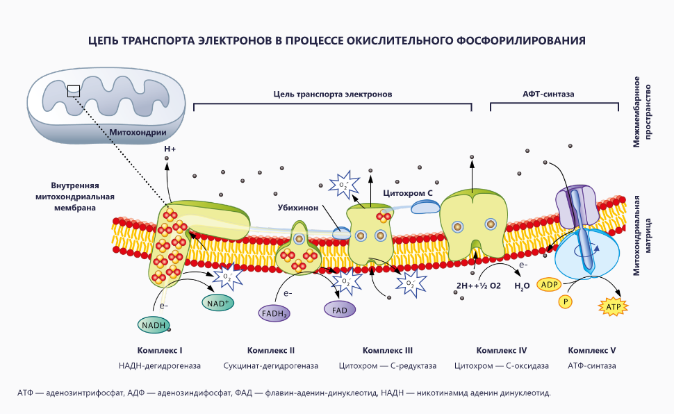 Изображение удалено.