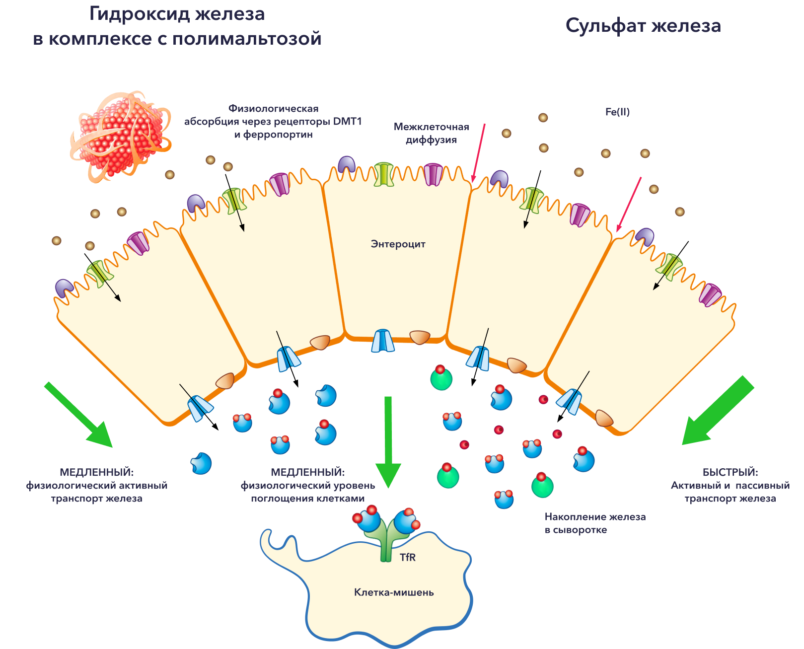Изображение удалено.